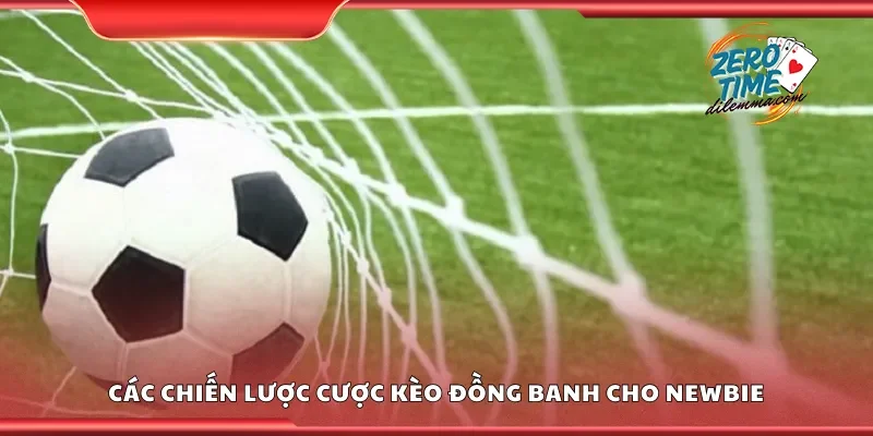 Chiến lược cược kèo đồng banh cho newbie