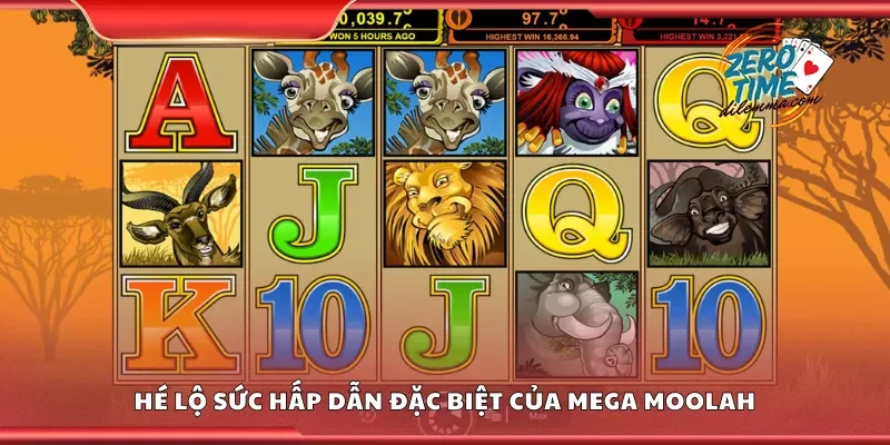 Hé lộ sức hấp dẫn đặc biệt của mega moolah